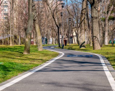 Parktaki sokak. Her iki tarafında ağaçlar olan yeni bisiklet yolu. Güneşli bir günde ıssız bir sokak.