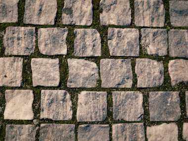 Bükreş 'teki kaldırımlı taş yol. Taşların arasında yosun olan eski bir kaldırım.