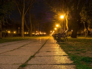 Gece vakti parkta bir patika. Parktaki sokak sokak lambaları ve banklarla.