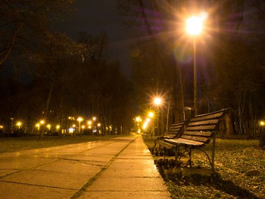 Gece vakti parkta bir patika. Parktaki sokak sokak lambaları ve banklarla.