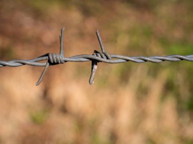 Dikenli tellerle kapatın. Arkaplanı bulanık dikenli tel..