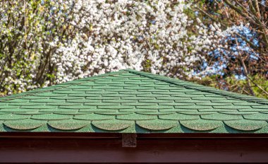 Arka planda kiraz çiçekleri olan yeşil bir ev..