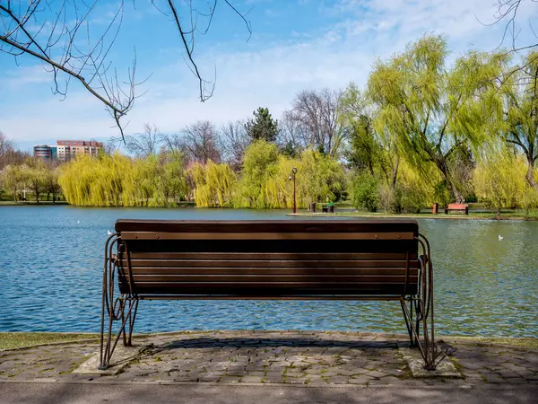 Parktaki Gölün Kenarındaki Bankta Ağaçlar Mavi Gökyüzü — Stok fotoğraf