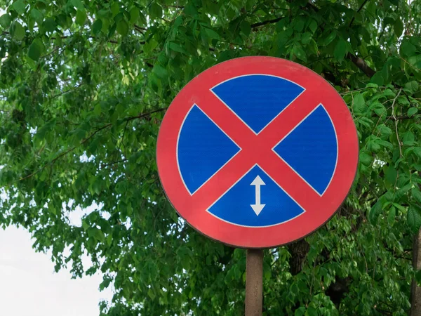 Дорожного Знака Уличный Знак Зелеными Листьями Заднем Плане — стоковое фото