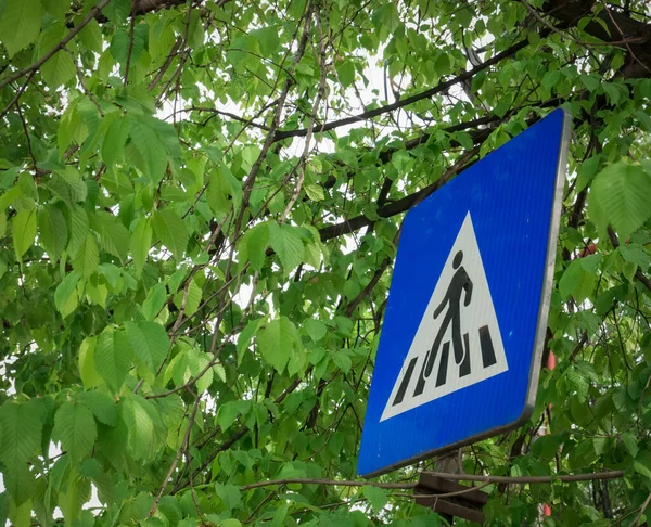 Straatnaambord Tussen Groene Bladeren Een Verkeersbord Voor Voetgangers Blauw Bord — Stockfoto