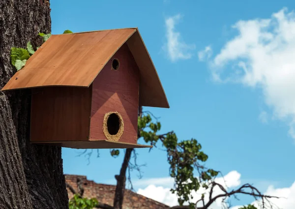 Vogelhäuschen Oder Vogelfutterhäuschen Hängen Einem Baum Vor Blauem Himmel — Stockfoto