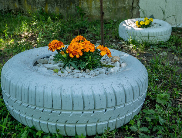 Bucharest/Romania - 05.16.2020: A tire used as a planter with flowers or plant. friendly method of recycling of tires car