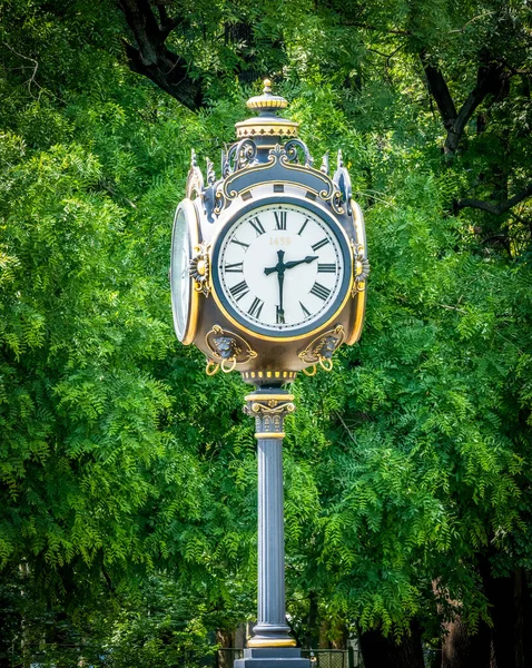 Nahaufnahme Mit Einer Outdoor Uhr Mit Grünen Bäumen Hintergrund Vintage — Stockfoto