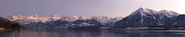 Vista Panorâmica Lago Thun Famosa Cordilheira Jungfrau Niesen Durante Pôr — Fotografia de Stock