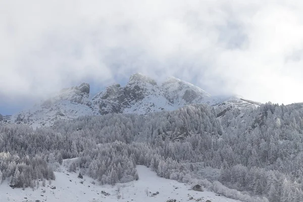 Piz tomuel ya da wissensteinhorn dağı ve ormanı İsviçre 'de kar ile kaplı..