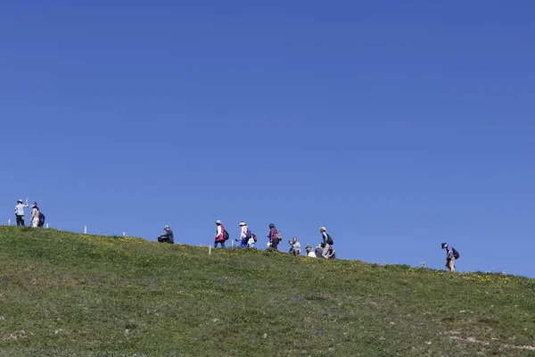 Switzerland Maio 2019 Turistas Asiáticos Andando Sobre Prado Verde Com — Fotografia de Stock