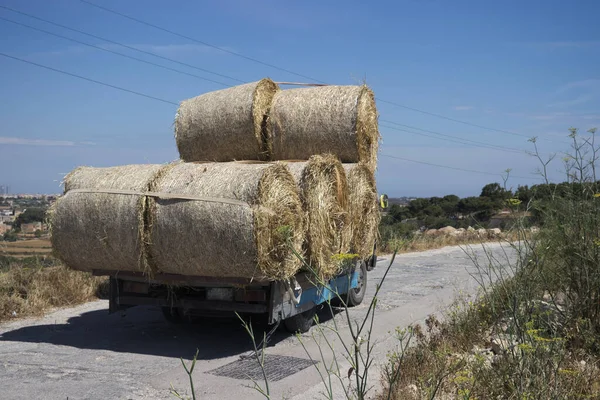 Pequeño Camión Que Transporta Balas Heno Redondas Rollos Heno Mientras — Foto de Stock