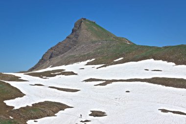 İsviçre alp dağ faulhorn manzarası ve küçük uzak yürüyüşçüyle kar tarlaları. Jungfrau bölgesindeki Alp Dağları manzarası.