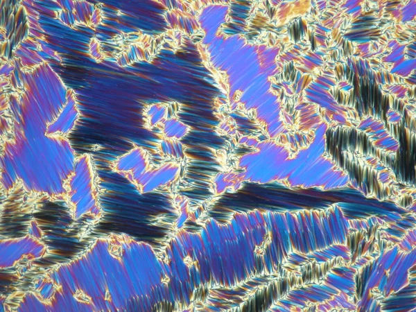 Liquid crystal under polarized light microscope