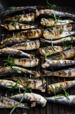 Sardalye ızgara baharat ve biberiye ile bir tavada.