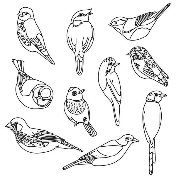 Vektor nastavit ptáků — Stockový vektor
