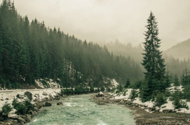 Ormanlık dağ yamacı ve düşük yalancı bulut Nehri