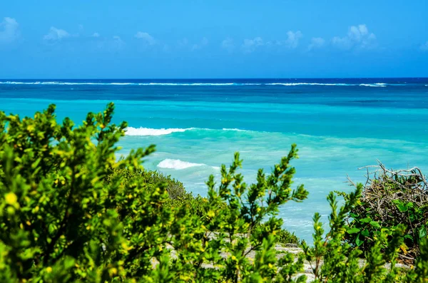 Vue sur la mer bleu azur et les vagues à travers les buissons verts — Photo