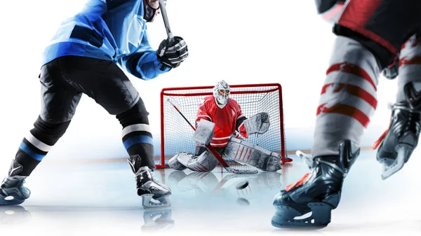 Professional hockey players in action Isolated on white background — Stock Photo, Image