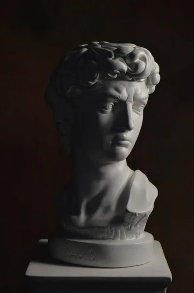 Αντίγραφο Της Προτομής Του Αγάλματος Δαβίδ Του Μιχαήλ Άγγελου — Φωτογραφία Αρχείου