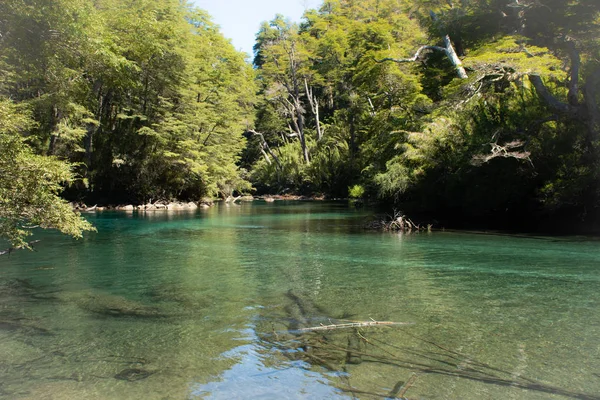 Arjantin Patagonya gölleri ve doğası.