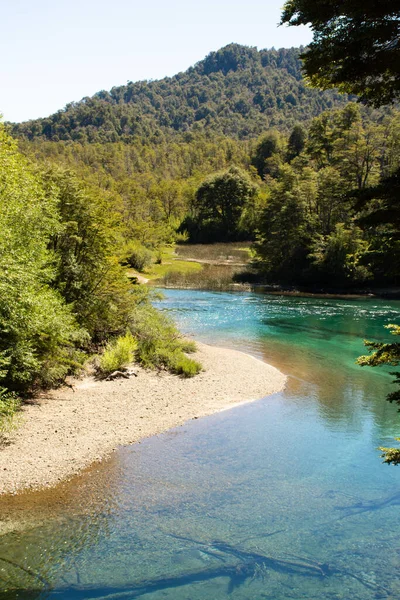Ağaçların arasında nehir