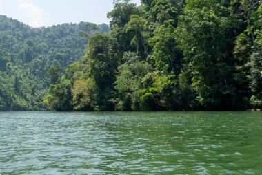 Viaje a travs del hermoso rio dulce