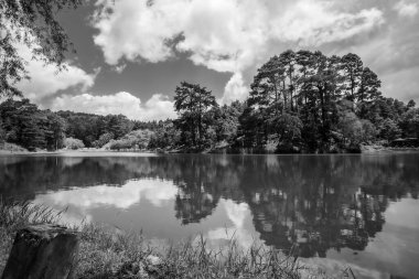 Vista a la Laguna Finca Cienaguilla
