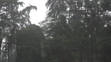 Şehirde bir yerlere yağmur yağıyor.