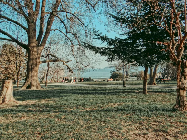 Varna 'nın deniz bahçesindeki sonbahar manzarası hafif deniz manzaralı.