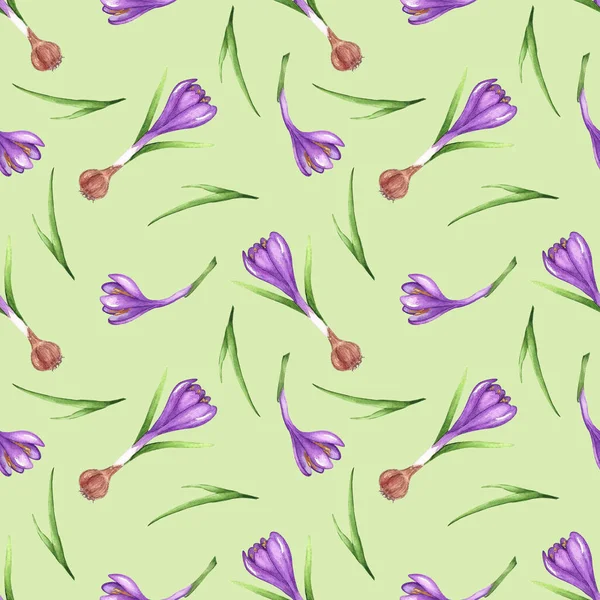 Беззвучный Акварельный Узор Фиолетовыми Крокусами Ягодами Зеленом Фоне Иллюстрация Нарисована — стоковое фото