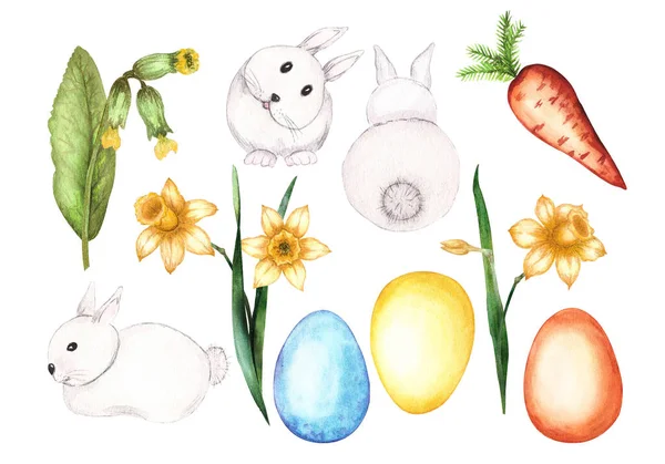 Set Aquarelillustraties Met Paashaas Wortels Bloemen Elementen Zijn Met Hand — Stockfoto