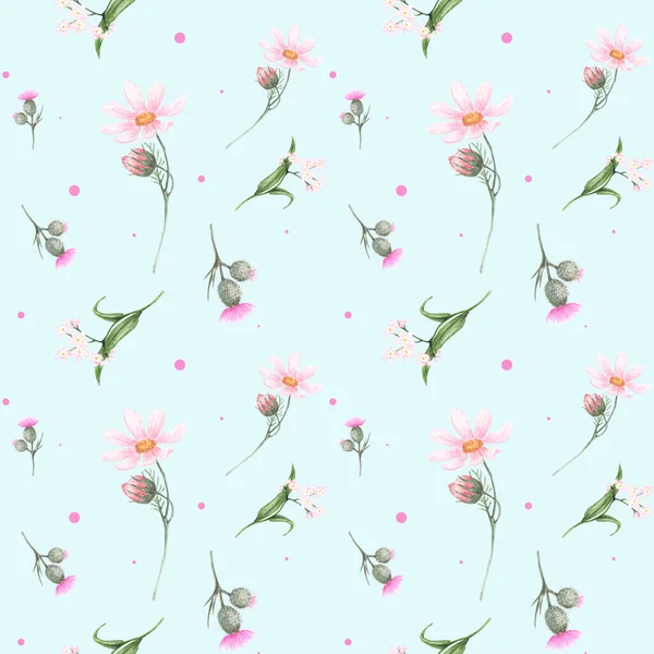 Seamless watercolor pattern with the image of pink daisies, forget-me-nots, thistles on a blue background. Watercolor hand drawn illustrations. Design for textile, fabric, clothing, cards — Stock Photo, Image