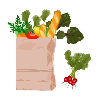 İçinde meyve, sebze, baget, ekmek gibi taze ürünler olan kağıt torba. Vektör çizimi. Market ürünleri konsepti.
