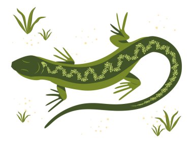 Yeşil kertenkele vektör çizimi. Uzun gövdeli ve kuyruklu sürüngen, dört bacaklı ve yeşil derili. Poster, web sitesi, kart tasarımı.