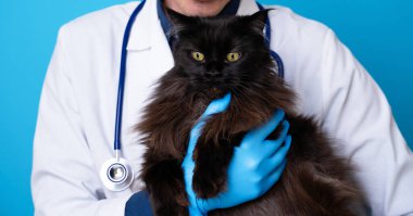 Kollarında kara kediyle veteriner ve...