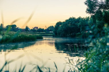 Yazın nehri olan pitoresk manzaranın akşam fotoğrafı.