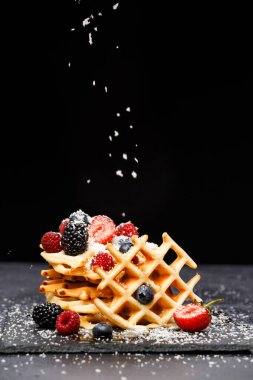 Viyana Waffle 'ının fotoğrafı. Stüdyoda boş bir arkaplanda, tahtaya pudra şekeri serpiştirilmiş böğürtlen.