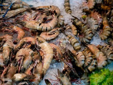 Yeşilliklerle birlikte buzda yatan çiğ taze karides görüntüsü
