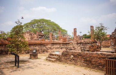 Ayutthaya Tapınağı kalıntıları, Wat Maha ki Ayutthaya, Tayland bir dünya mirası alanı olarak. Ayutthaya Tarih Parkı