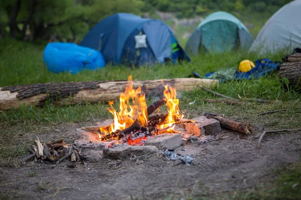 Foto Acampamento Fogueira Floresta Dia Verão — Fotografia de Stock