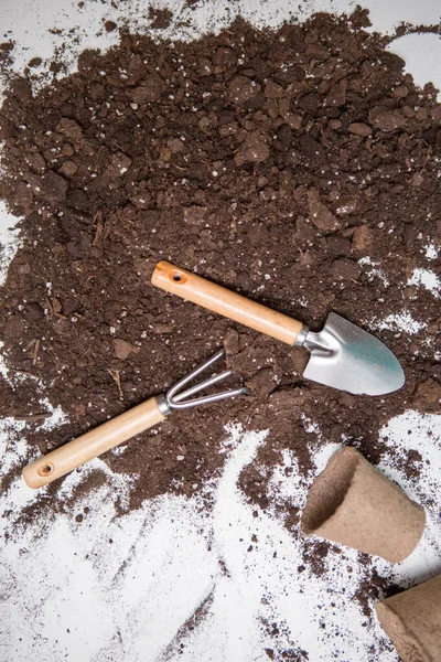 Foto Solo Superior Para Transplantar Plantas Ancinho Colher Mesa Branca — Fotografia de Stock