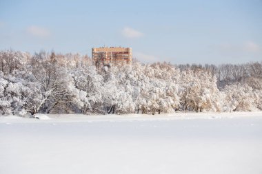 Gün boyunca kar ve mavi gökyüzü ile kış ağaç resmi