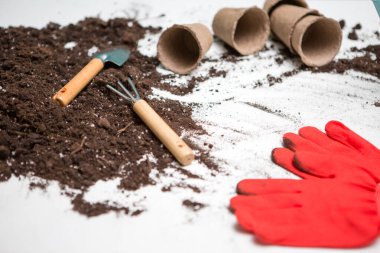 Bitki nakli için en üst toprak görüntüsü, tırmık, kepçe, sulama kutusu, beyaz masada kırmızı eldivenler.