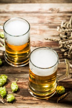 Tahta bir masanın üzerinde birkaç bira. Zıpzıp, üst manzara.