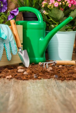 Bahçedeki terasta bahçe aletleri ve çiçekler.