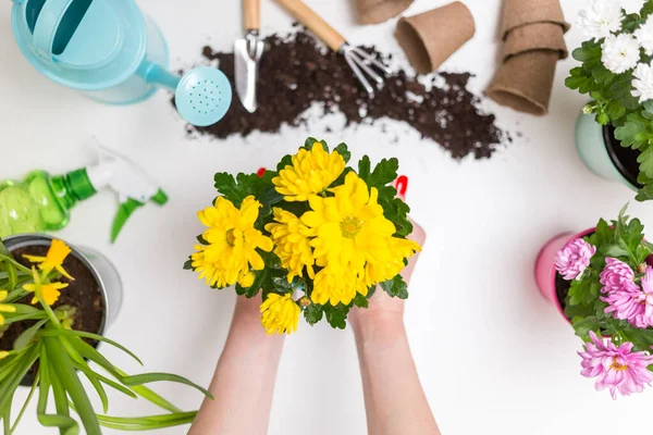 Foto Solo Regando Lata Colher Ancinho Mãos Com Vaso Flores — Fotografia de Stock