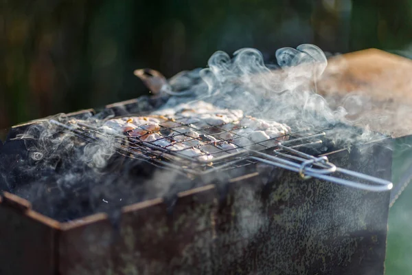 Photo Barbecue Grill Fried Meat Smoke — Stock Photo, Image