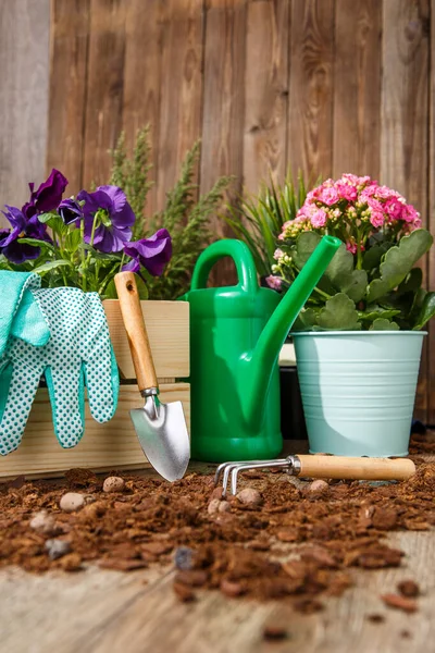 Gardening Tools Flowers Terrace Garden — Stock Photo, Image