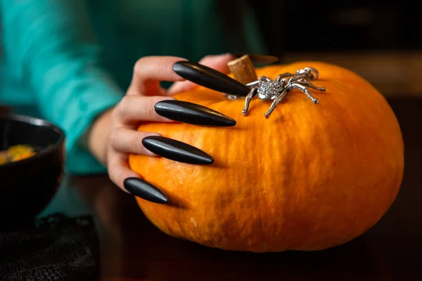 Foto Van Mensenhanden Met Pompoenkrik Spin Zittend Aan Houten Tafel — Stockfoto